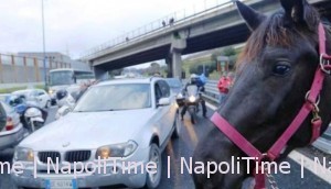 Ippodromo di Agnano proteste