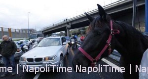 protesta_ippodromo_tangenziale