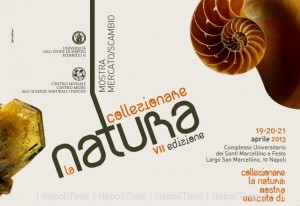 Collezionare-la-Natura-2013