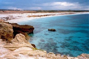pollica1