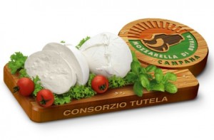 Mozzarella-di-Bufala-Dop-consorzio-tutela