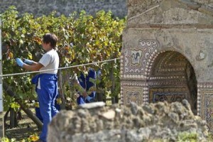 XIII EDIZIONE DEL TAGLIO DELL' UVA NEGLI SCAVI DI POMPEI
