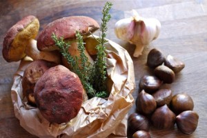 funghi castagne