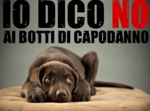 animali_no_botti_capodanno