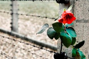 giornata-memoria 2014