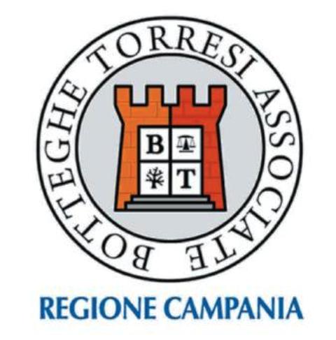 Logo Botteghe torresi