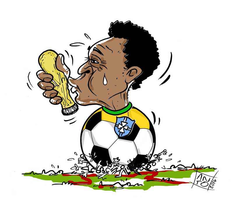 mondiali-brasile-2014