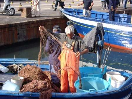 pesca