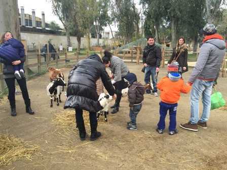 Zoo Napoli