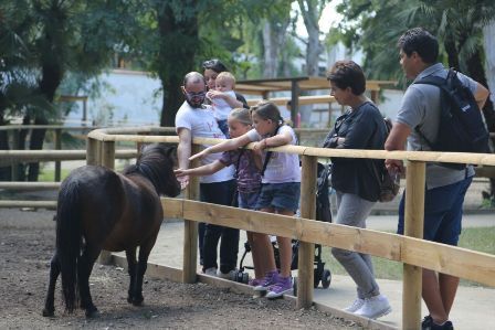 fattoria zoo