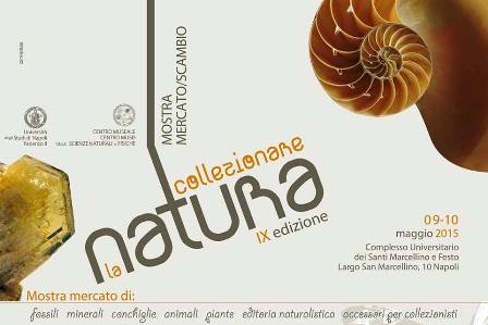 collezionare-la-natura