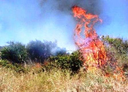 sterpaglie_in_fiamme