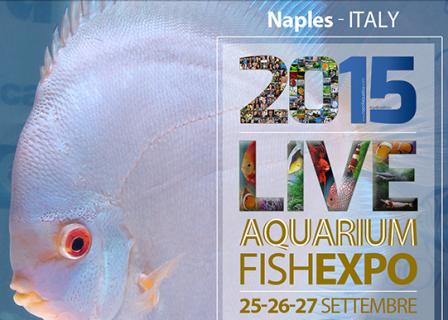 NaQ2015_International