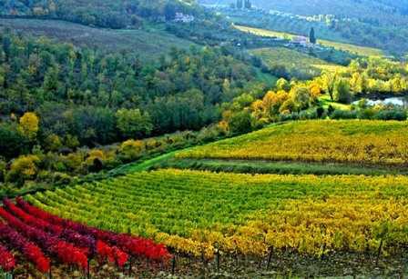 agriturismo