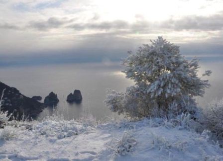 neve capri