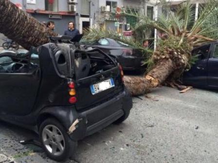 auto danneggiata
