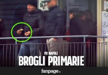 brogli primarie