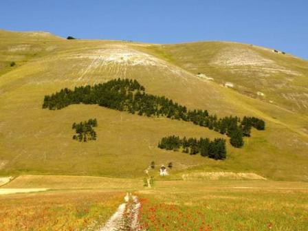green italy