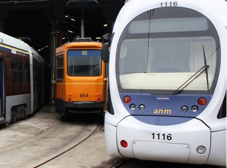tram anm