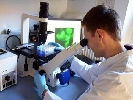 ricerca scientifica