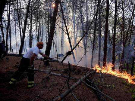 Incendio.boschivo.Vesuvio