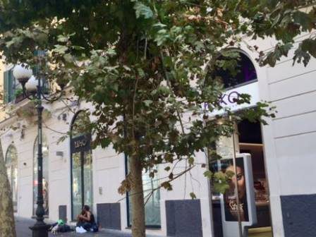 Via Scarlatti albero