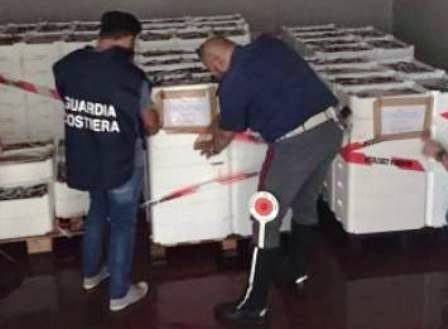 sequestro-pesce
